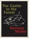 Cover image for The Castle in the Forest